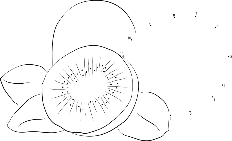 Delicious Kiwi Fruit printable dot to dot worksheet