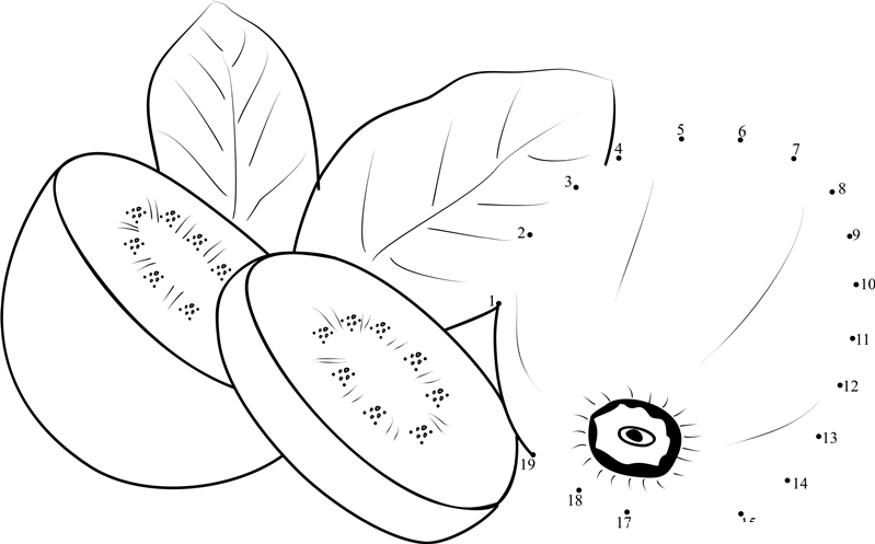 Kiwi Sliced printable dot to dot worksheet