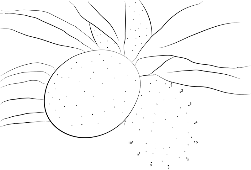 Kumquat printable dot to dot worksheet