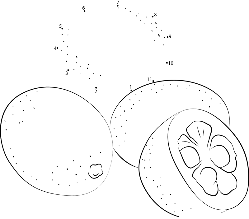 Kumquat Fruit In Groups printable dot to dot worksheet