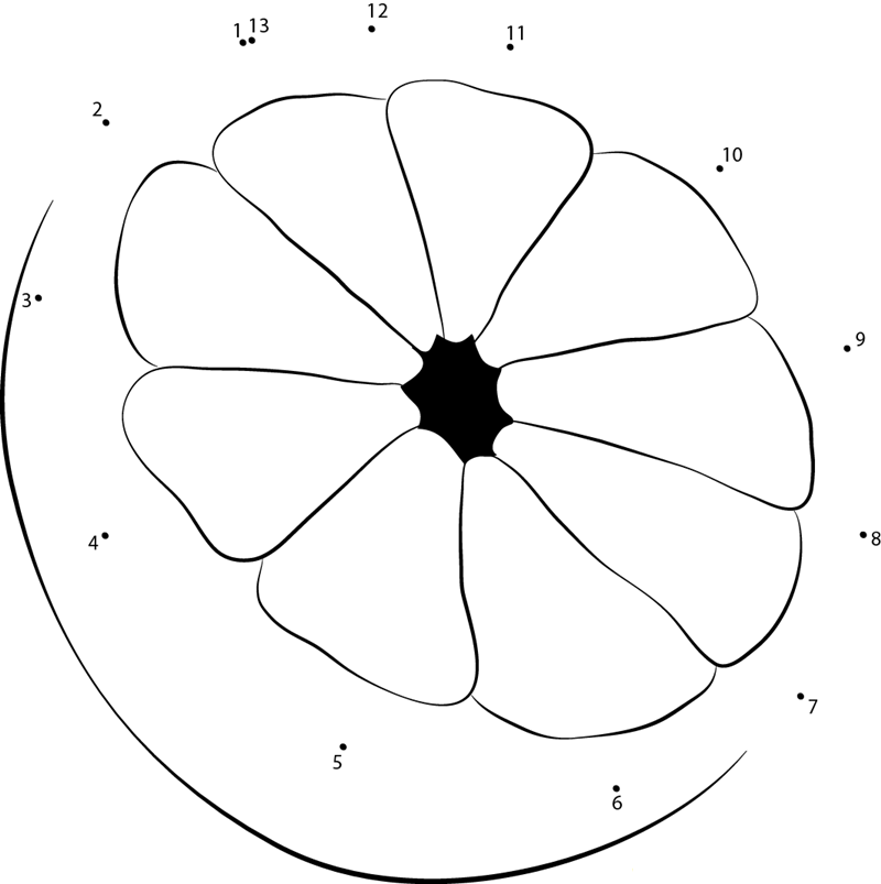 Lemon Cut In Half printable dot to dot worksheet