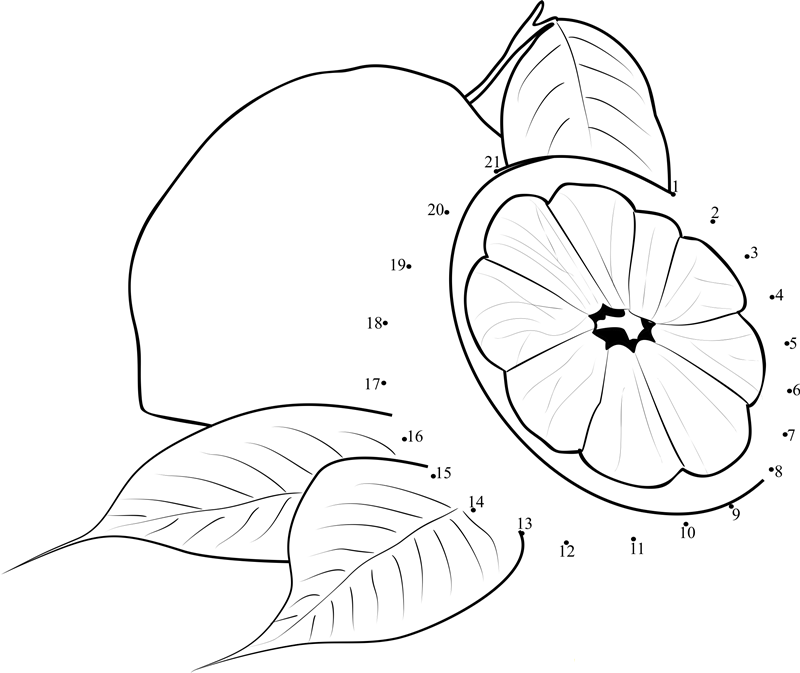 Lemon Cut Into Half printable dot to dot worksheet