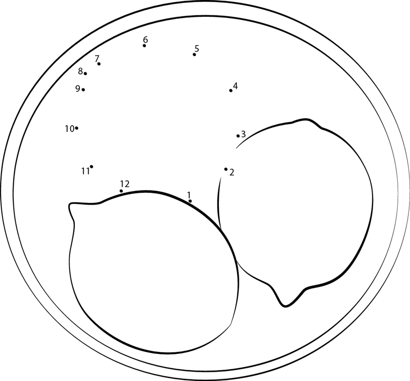 Lemon In Pot printable dot to dot worksheet