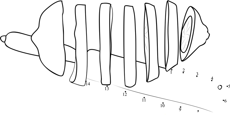 Lemon Sliced printable dot to dot worksheet