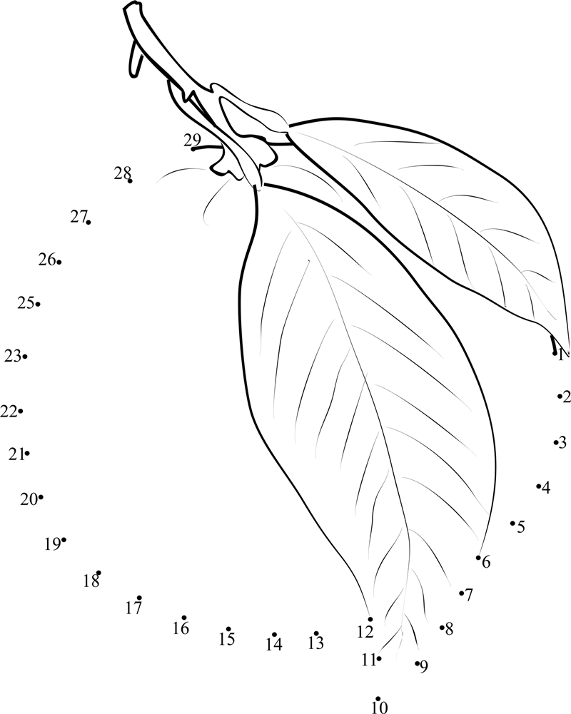 Lemon With Leaf printable dot to dot worksheet