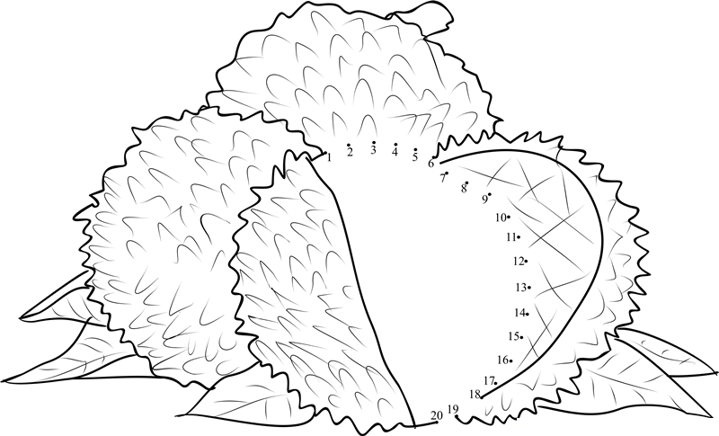 Lychee Litchi printable dot to dot worksheet