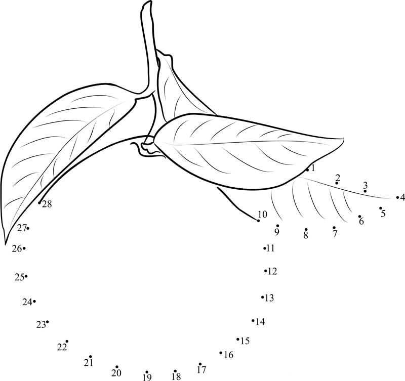 Mandarin Orange printable dot to dot worksheet
