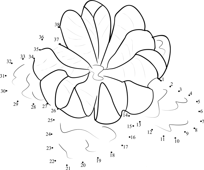 Mandarin Orange Peeled printable dot to dot worksheet