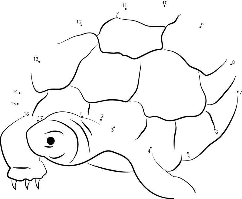 Nervous Turtle printable dot to dot worksheet