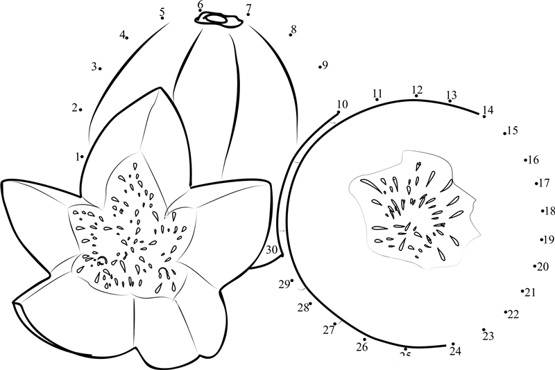 Melon Cut printable dot to dot worksheet