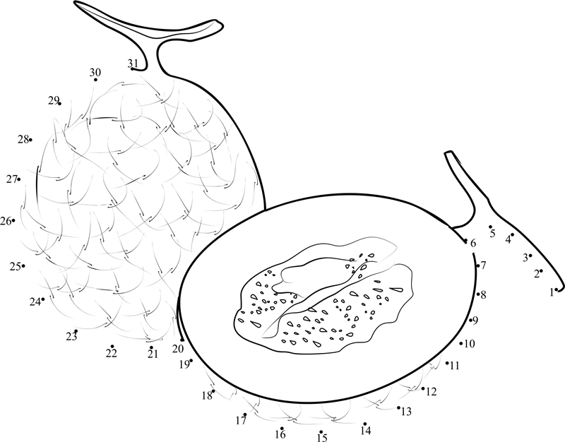 Melon Half Cut printable dot to dot worksheet