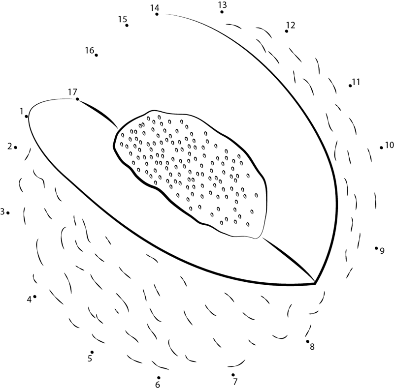 Melons Cut printable dot to dot worksheet