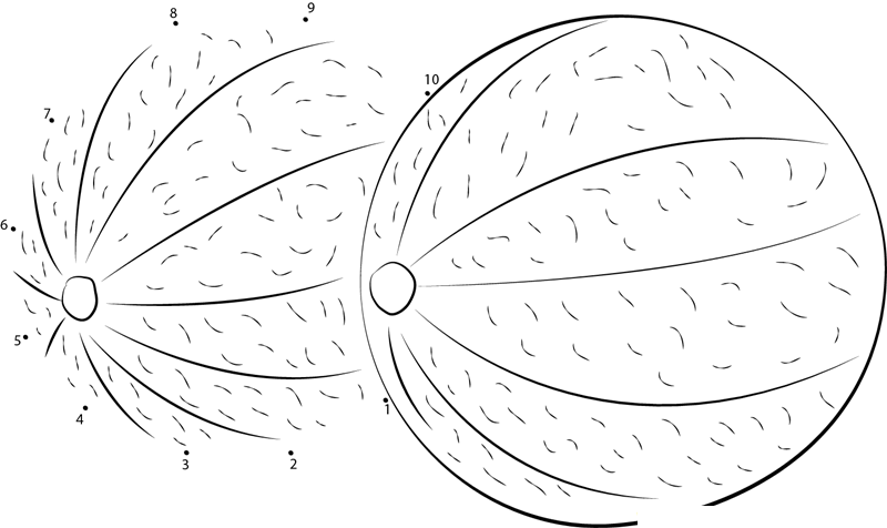 Two Cantaloupe Melons printable dot to dot worksheet