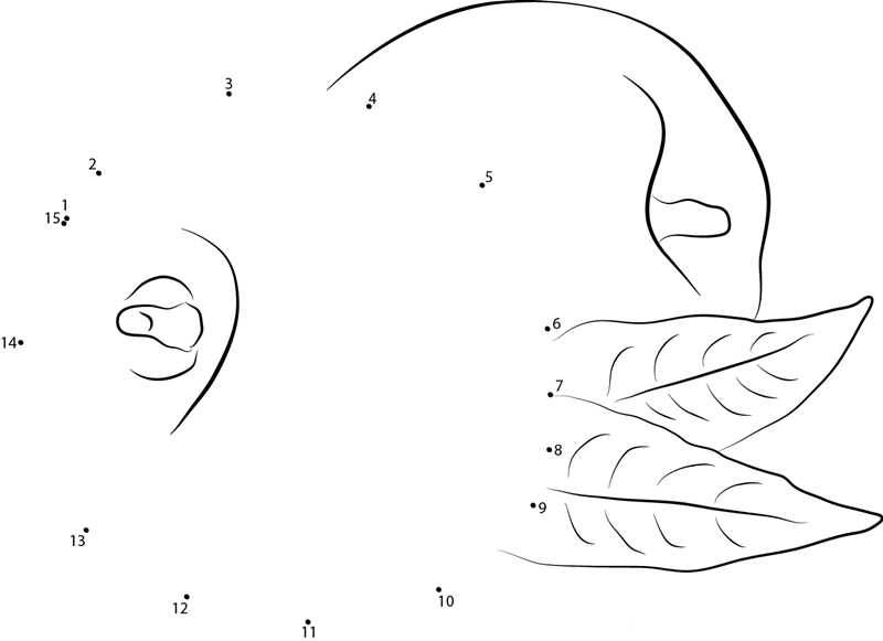 Fresh Nectarine With Leaves printable dot to dot worksheet