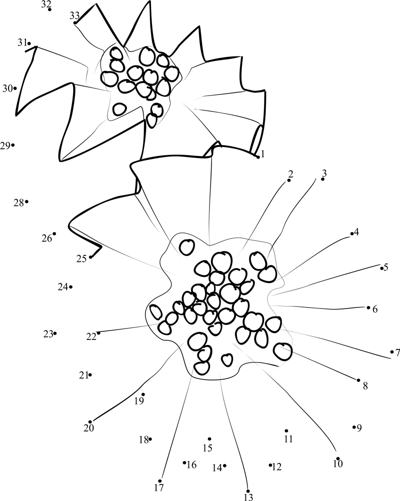 Cut Papaya dot to dot worksheets