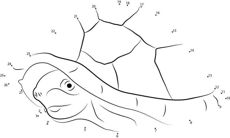 Razorbacked Musk Turtle printable dot to dot worksheet