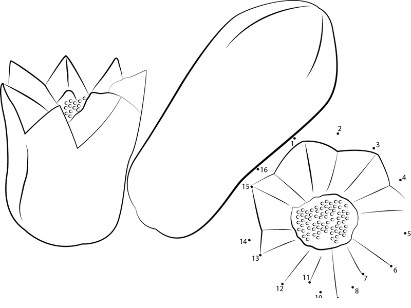 Sweet Papaya printable dot to dot worksheet