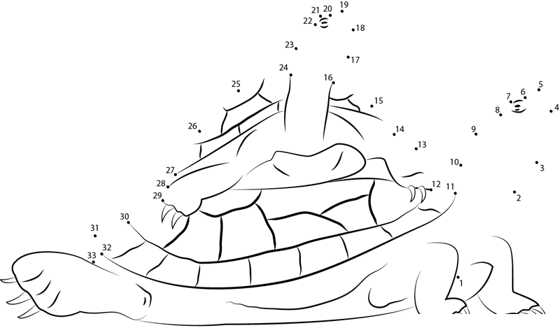 Red Eared Sliders Turtle dot to dot worksheets