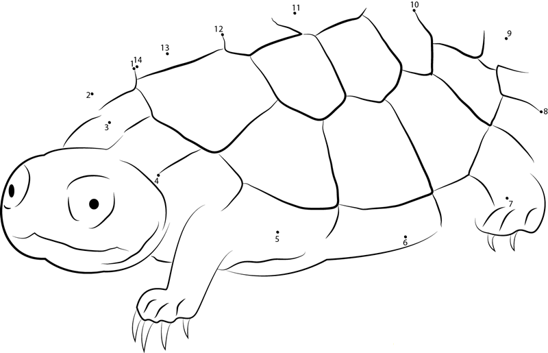 Sad Turtle dot to dot worksheets