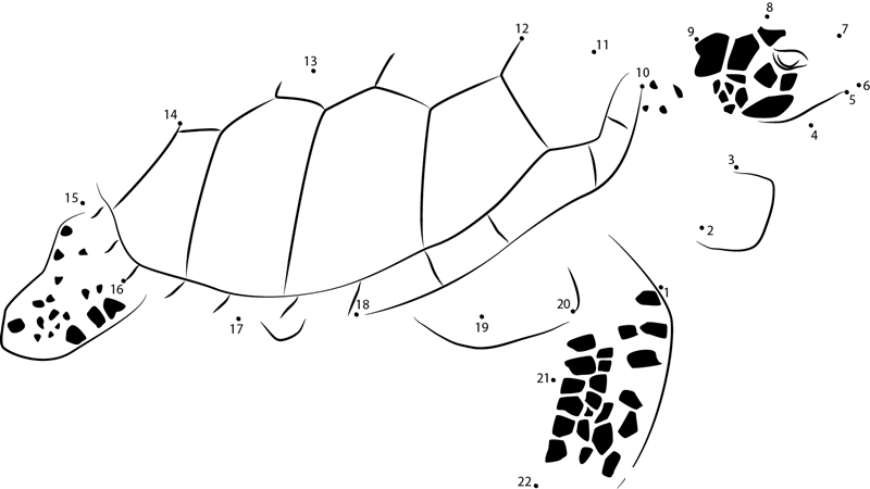 Sea Turtle printable dot to dot worksheet