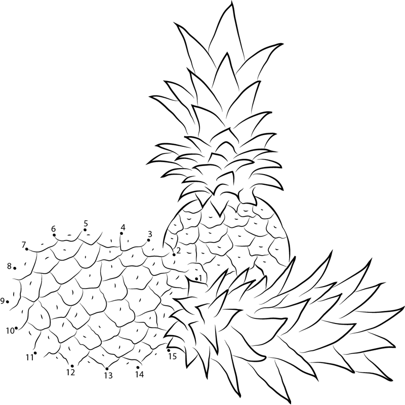 Two Pineapples printable dot to dot worksheet