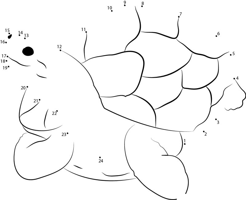 Sitting Turtle printable dot to dot worksheet