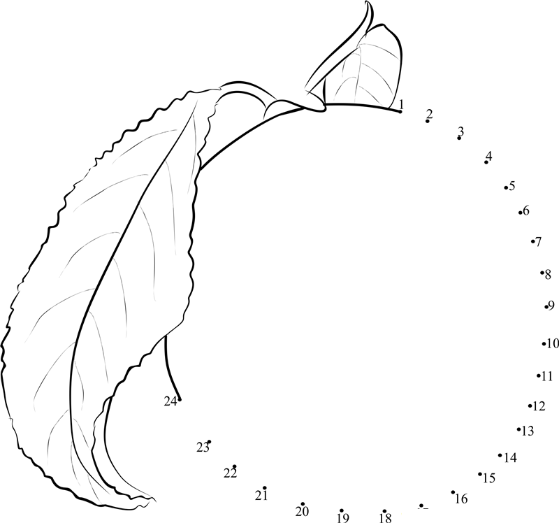 Plum With Leaf dot to dot worksheets