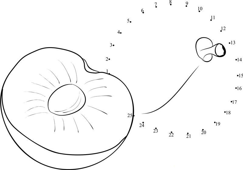 Plums Cut Half dot to dot worksheets