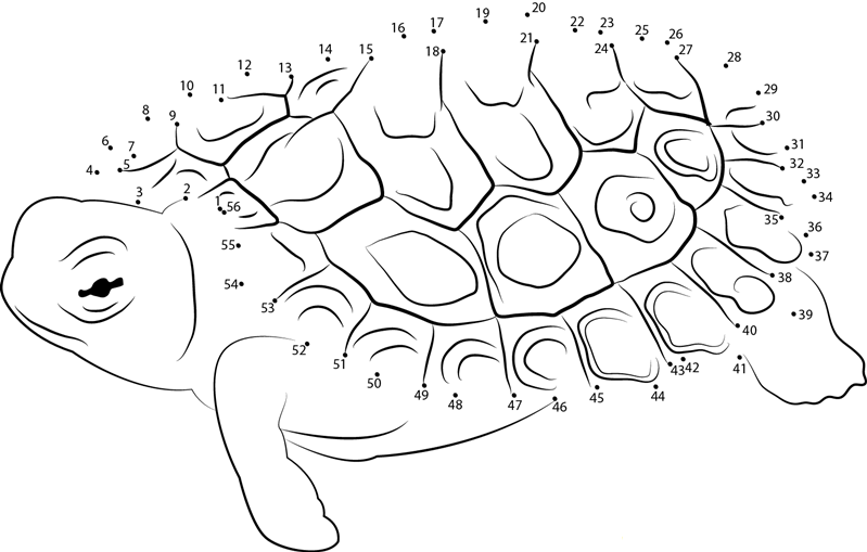 Sleeping Turtle dot to dot worksheets