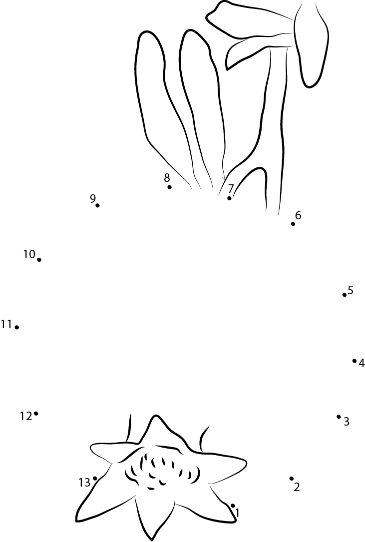 Pomegranate On Tree dot to dot worksheets