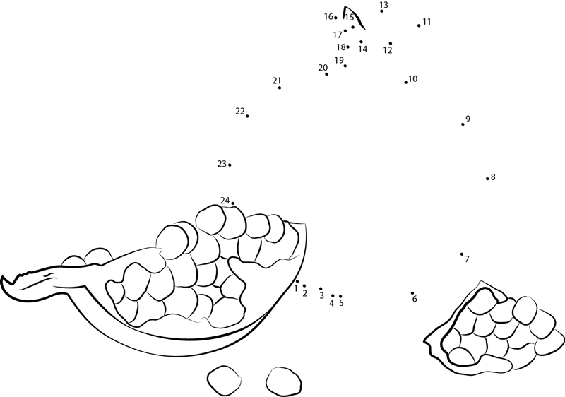 Pomegranate Pieces dot to dot worksheets