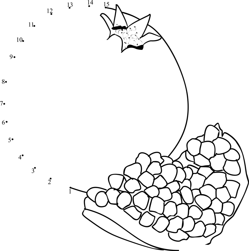 Pomegranate Slice printable dot to dot worksheet