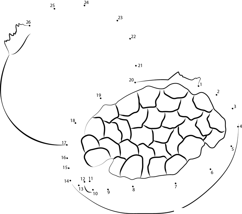 Pomegranate Upern printable dot to dot worksheet