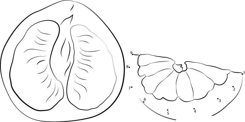 Pomelo dot to dot worksheets