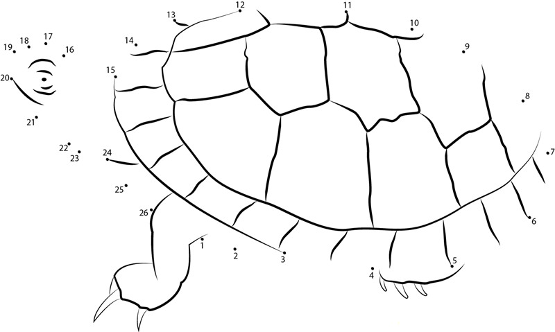 Southern Painted Turtle dot to dot worksheets