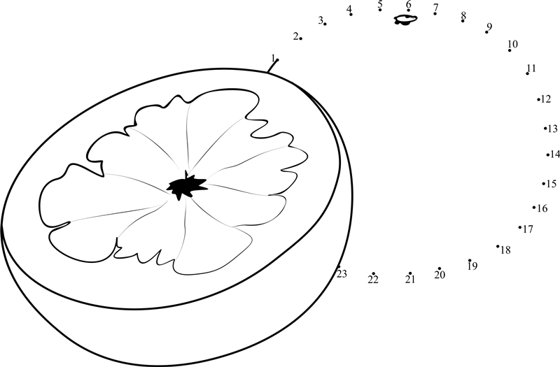 Pomelo Fruit dot to dot worksheets