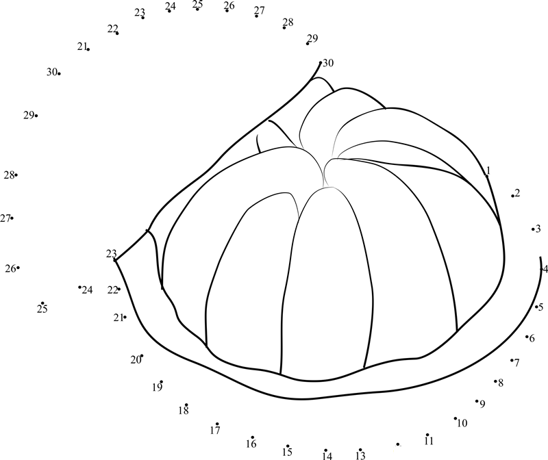 Pomelo Slices dot to dot worksheets