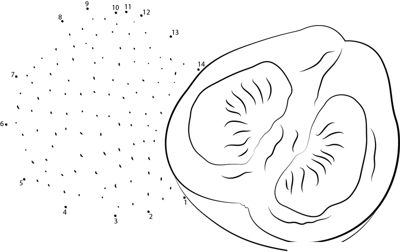 Red Pomelo dot to dot worksheets