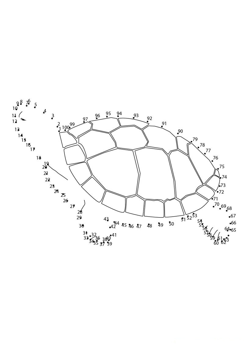 Swimming Turtle printable dot to dot worksheet