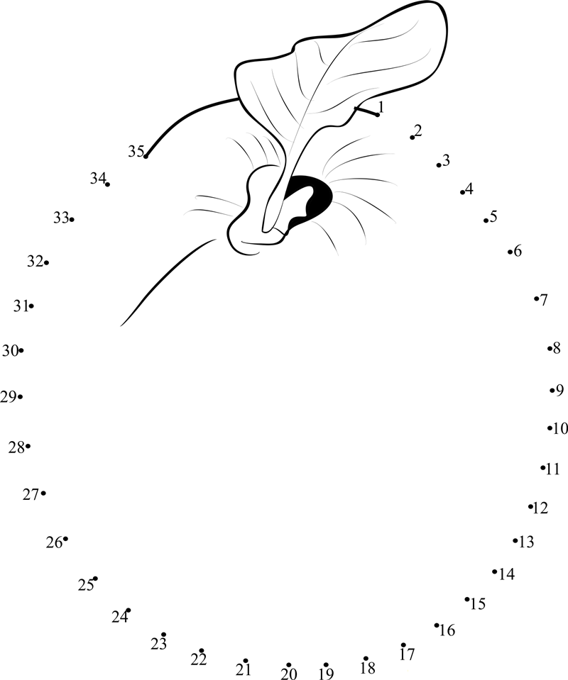 Quince Fruit dot to dot worksheets