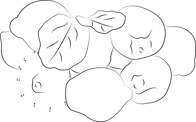 Quinces Fruit In Group printable dot to dot worksheet