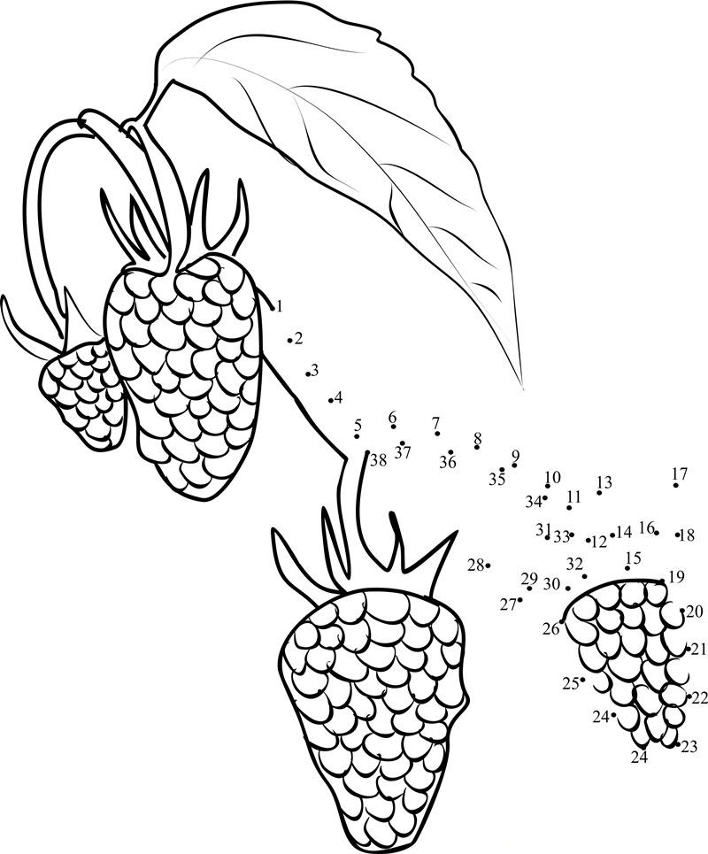 Raspberry On Tree printable dot to dot worksheet