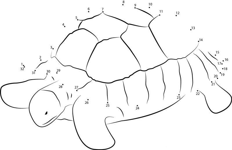 Turtle At Zoo dot to dot worksheets