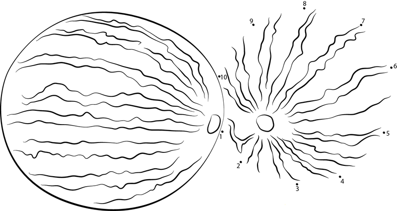 Pair Of Lovely Watermelons dot to dot worksheets