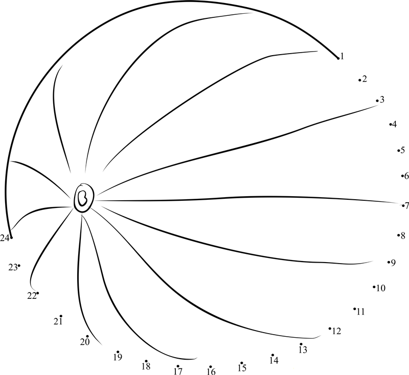 Watermelon dot to dot worksheets