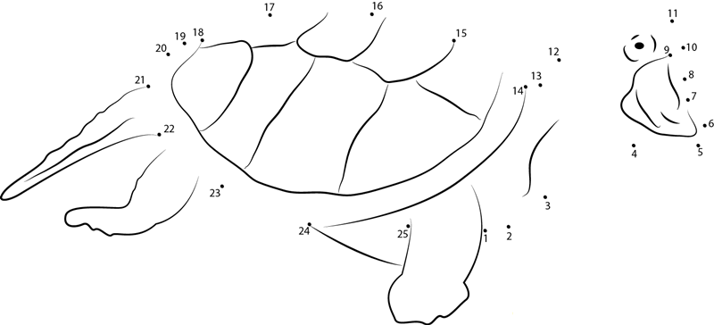 Turtle Attacking printable dot to dot worksheet