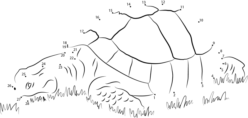 Turtle In Grass dot to dot worksheets