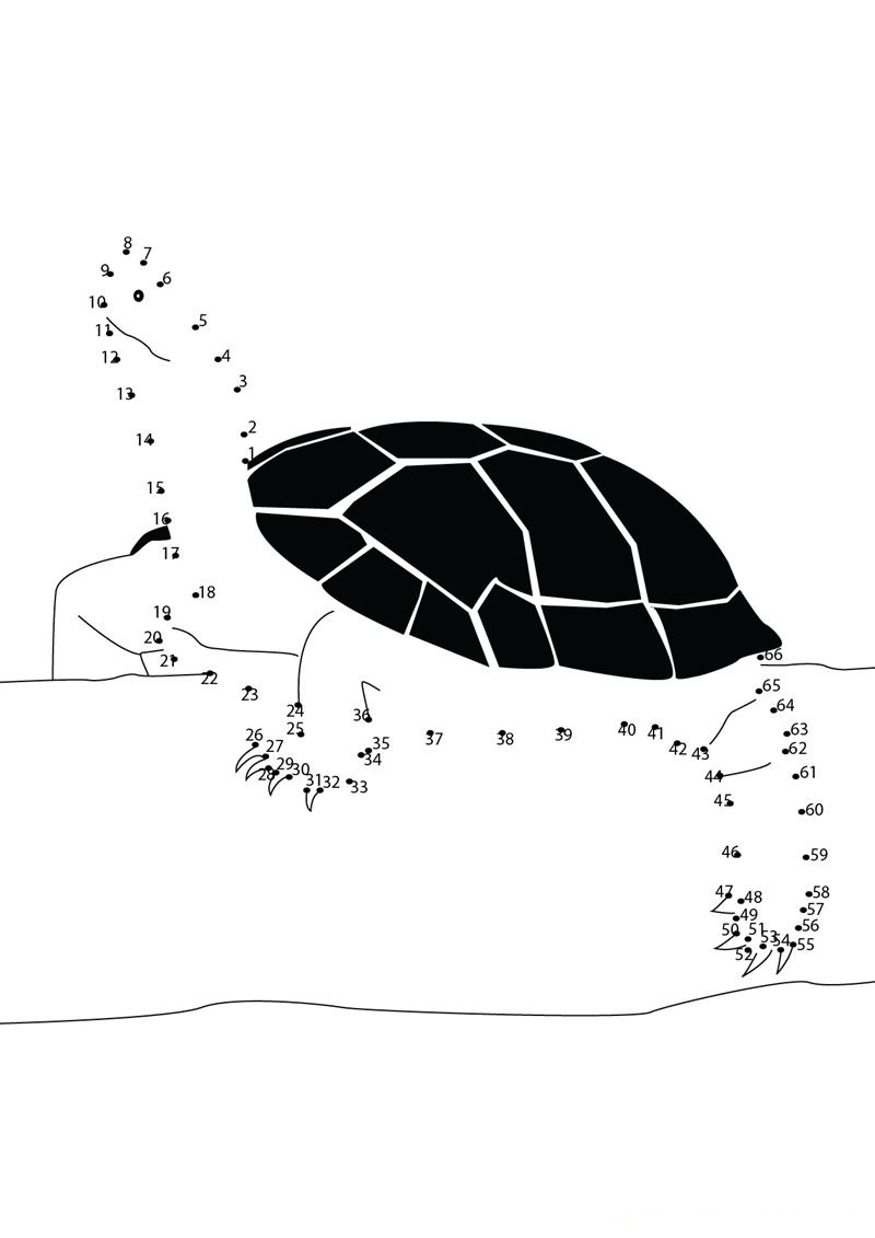 Turtle Looking Up printable dot to dot worksheet