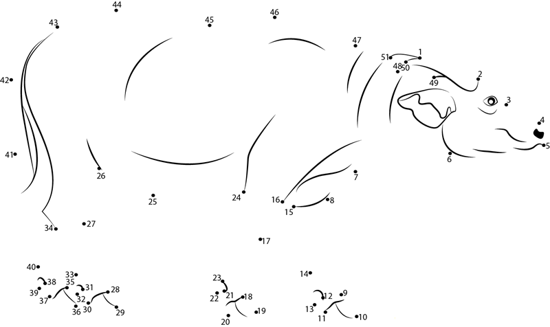 Asiatic Water Buffalo dot to dot worksheets