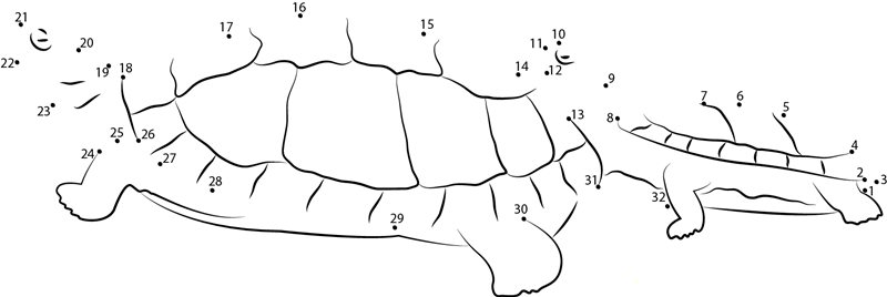 Turtles Going To Water printable dot to dot worksheet